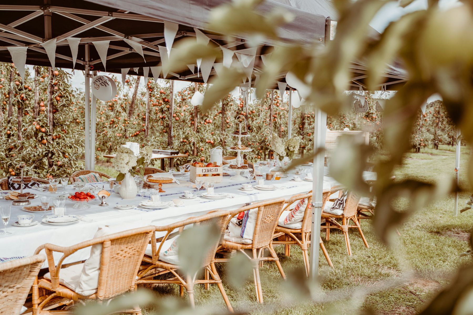 Gedekte tafel onder een tent tussen de appelbomen